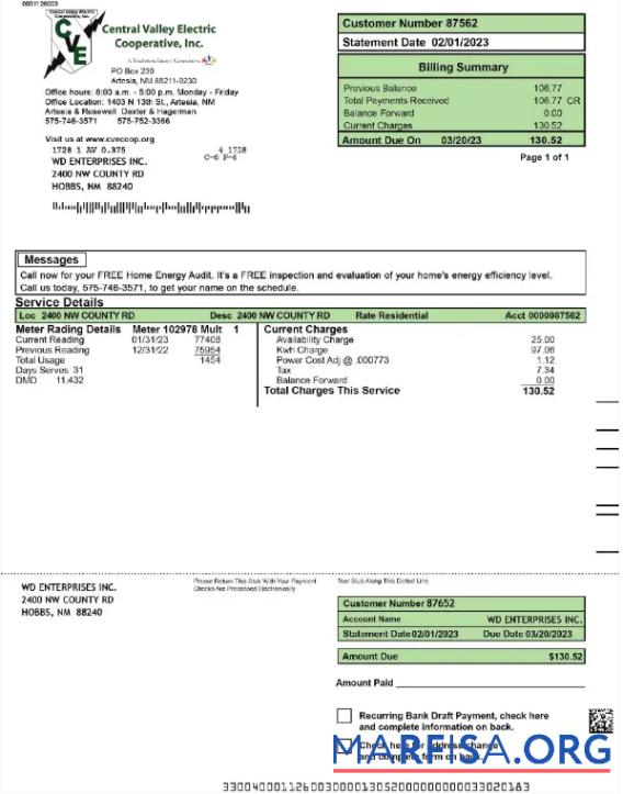 Downloadable USA CENTRAL VALLEY ELECTRIC utility bill Word and PDF template